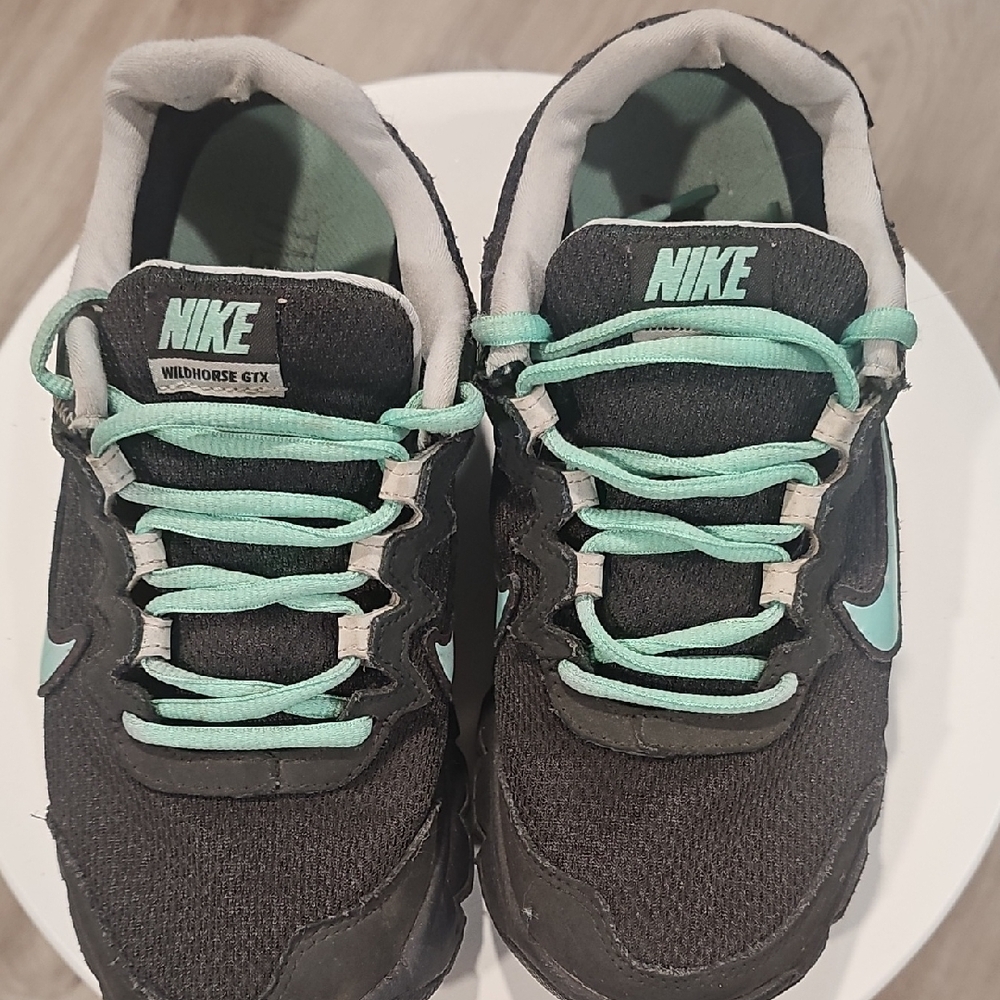 Nike Wildhorse GTX Black with Mint Accents